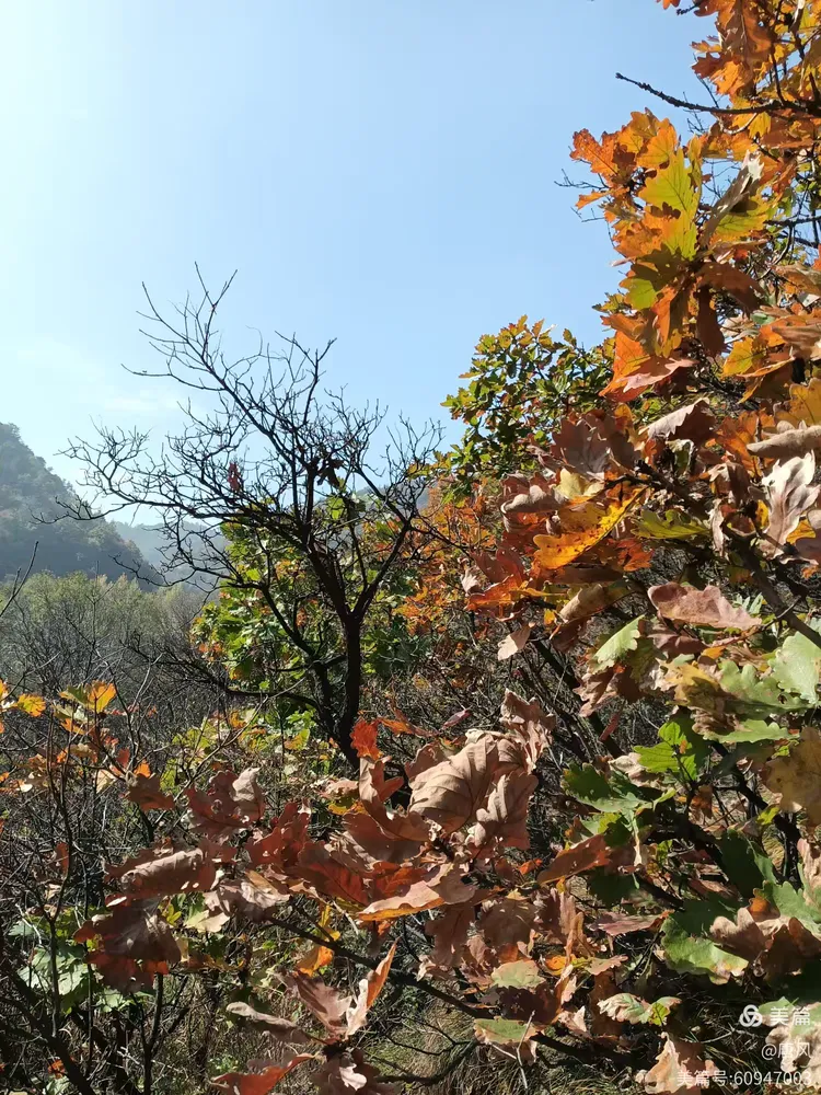 绛县紫家峪印象